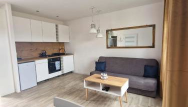 Domki nad stawem - Foto 3