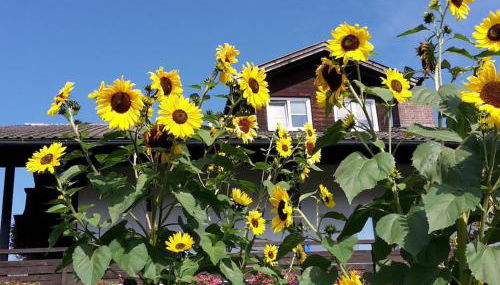 4 Michael Weiß Comfortable holiday residence - Foto 3, Other