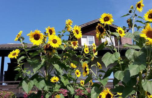 4 Michael Weiß Comfortable holiday residence - Foto 3