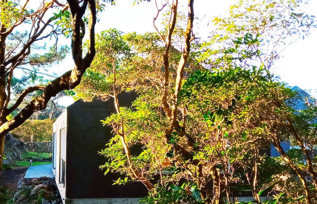 Casas do Morgadio - azorean wine & lodge - Foto 19