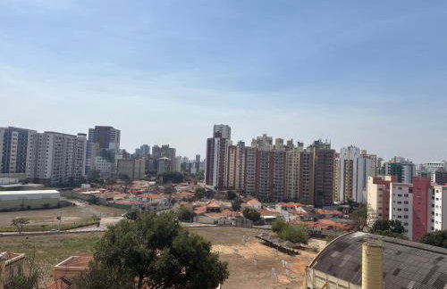 Apes Raizes Douradas - Foto 61