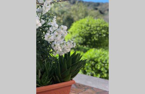 Seafront Apartment - Foto 22