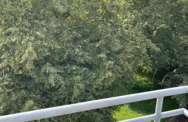 Penthouse am Park - Foto 30