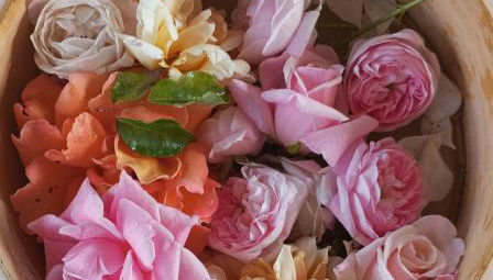 I Giardini di Palazzo Ducale - Foto 4