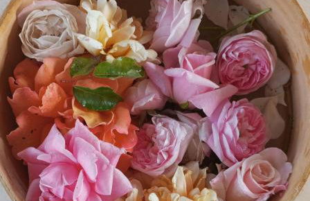 I Giardini di Palazzo Ducale - Foto 4