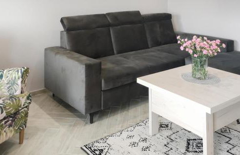 Awesome Apartment In Orzysz With Sauna - Foto 3