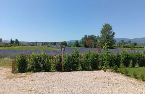 L'Antico Fienile - Foto 39