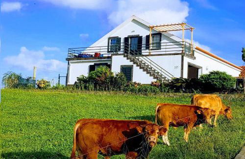 Quinta do Calvário - Foto 26