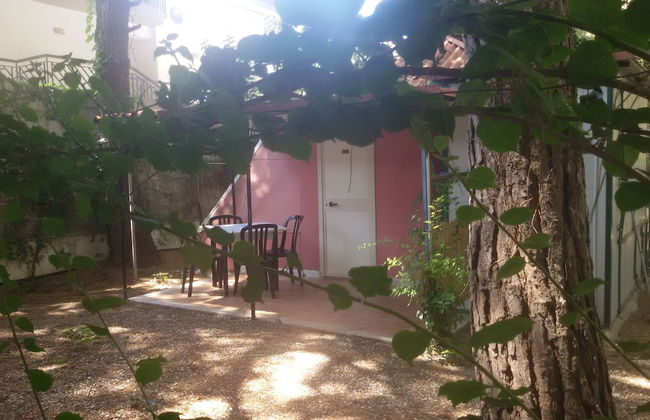 Parco delle Viole - Foto 38