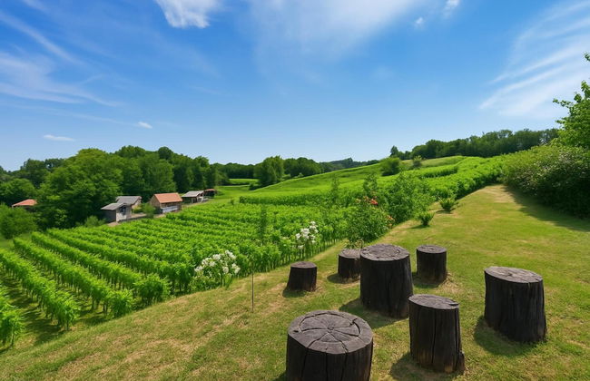 Hedonistic Vineyard Estate With Hot Tub - Foto 22