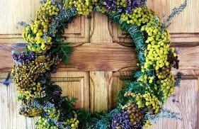 Ostoja Mików - Foto 16