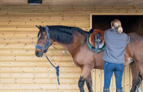 Bennachie Lodge - Foto 24