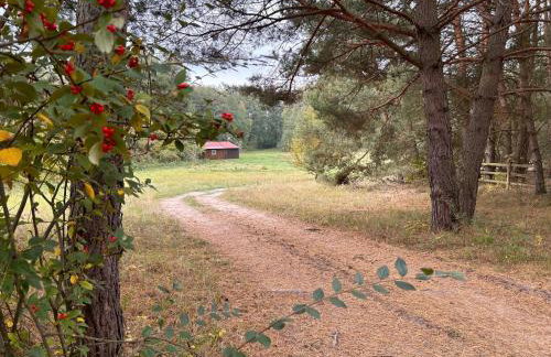 Siedlisko Silna Nowa - Foto 17