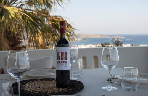 Yema House - Naoussa Bay - Photo 17