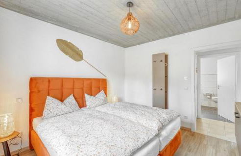 Admiral Vanessa - Foto 25