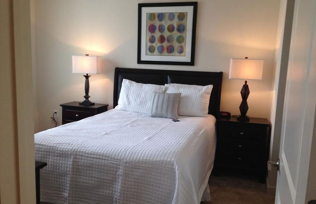 National at Tysons II - Photo 3