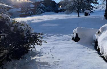 Appt de montagne Araches - Foto 2