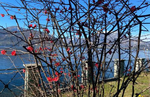 La Casetta Varenna - Foto 67