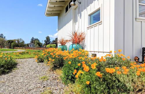 Sonoma-Napa Wine Country Retreat Surrounded By Vineyards, Views, & Privacy - Foto 9