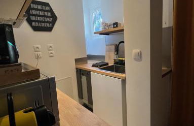 Jaune Génépi - 4 personnes - 49m2 et 17m2 terrasse - Foto 10