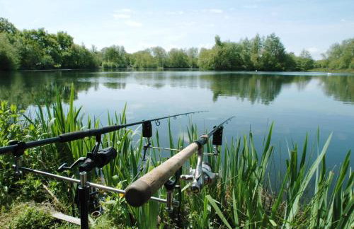 Homely 8 Berth Caravan In Essex, At Steeple Bay Ref 36046E - Foto 14