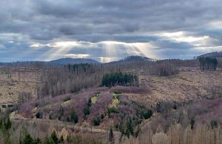 Apartment 350 mit Brockenblick - Foto 16