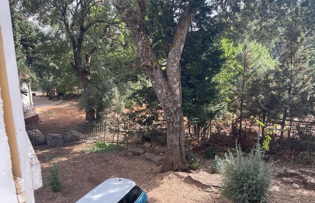 Chalet Ifrane - Foto 31