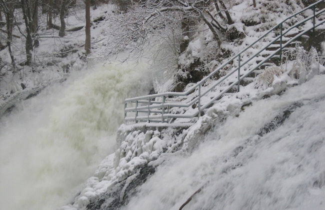 Le Baron Apartments - Photo 50