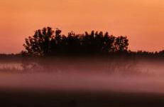 Waldpension Gussow - Foto 45