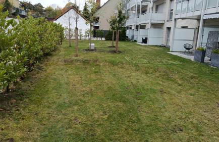 Paris to Bochum, 4 Pers. Apartm. - Foto 3