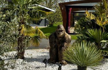 Gîte avec piscine - Foto 12