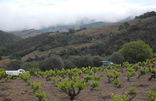 Magnifique villa piscine billard Great villa swimming pool - Foto 13