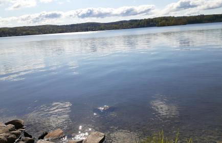 13-Min Jiminy, Fave, Hot Tub, Lg Open LR, Family - Foto 6