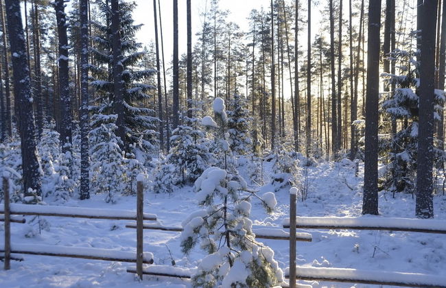 Shishki na Lampushke - Russkaya Derevnya - Foto 8