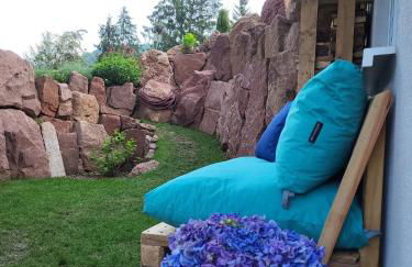 FeWo am Neckarsteig mit Anbindung an Heidelberg - Photo 10