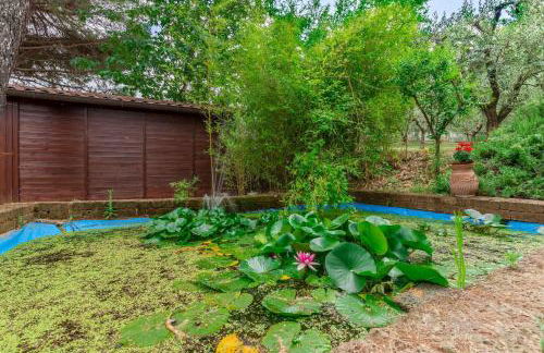 Italian Experience-Villa Rosso Corbezzolo - Foto 13