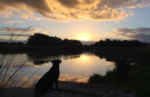 Woodpecker Lodge - Foto 23