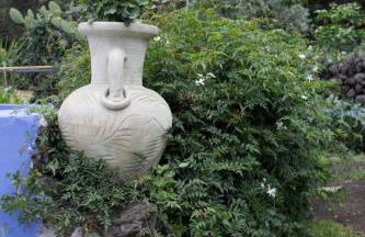 Casa Macchia - Foto 15