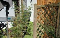 COUP DE COEUR Studio - Foto 8