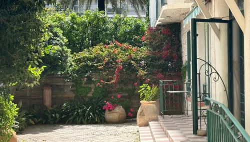 Le Grand Palais - Photo 3