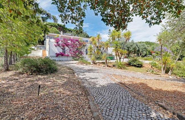 Casa dos Sonhos by Portucasa - Foto 9