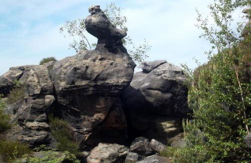 FeWo Spreequelle - Foto 27