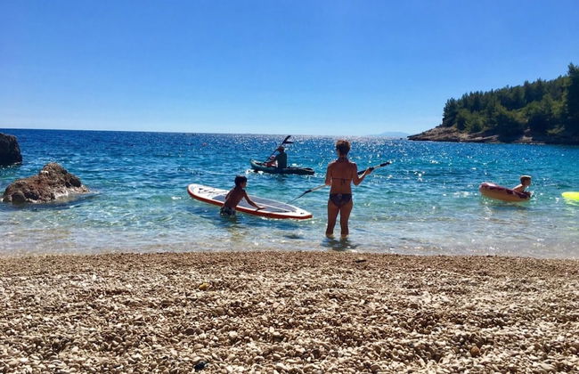 Dino - Gorgeous Garden - SA1 Zavala - Photo 22