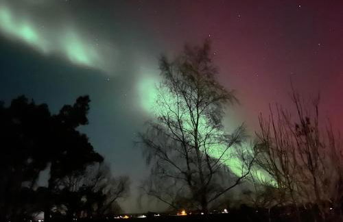 SandDorn 1 und 2 - Foto 76