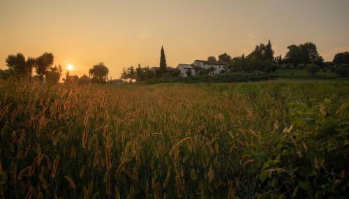 Agriturismo Relais Maddalene101 - Foto 3