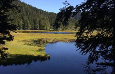 Chalet 10 pers sauna & SPA La tanière des Vosges - Foto 46