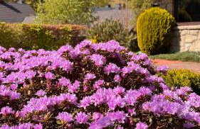 Górska 72 Dom pod Stokiem - Foto 21