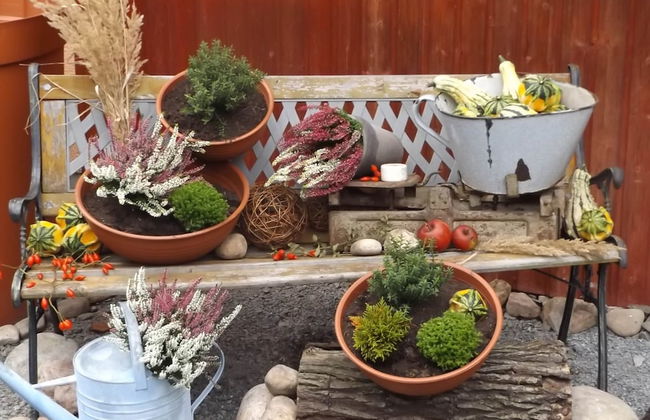 Ferienwohnung Sachsische Schweiz - Foto 20