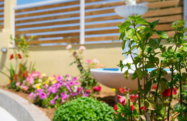 Sunset Apartments near Athens Airport - Photo 50