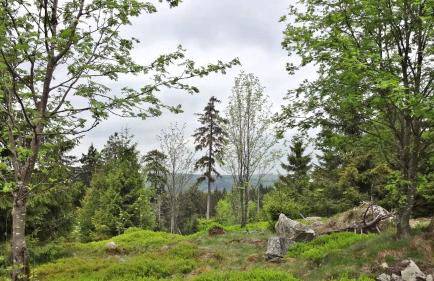 FeWo Algenrodt - Foto 38